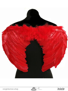 45x35_red_feather_wing_600 copy