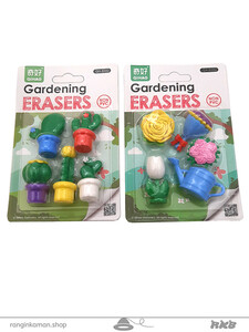 پاک کن کاکتوس Cactus eraser