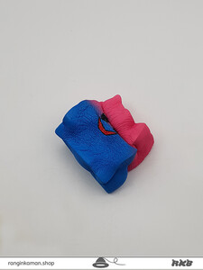 20210109_120810 copy