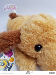 20210624_173958 – Copy copy