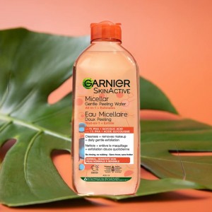 میسلار لایه‌بردار گارنیه