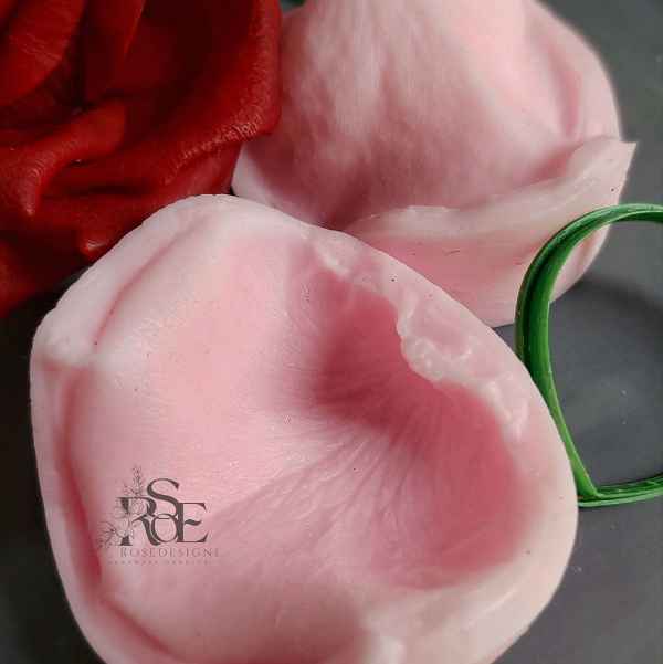 وینر گل رز کد 2 رزدیزاین