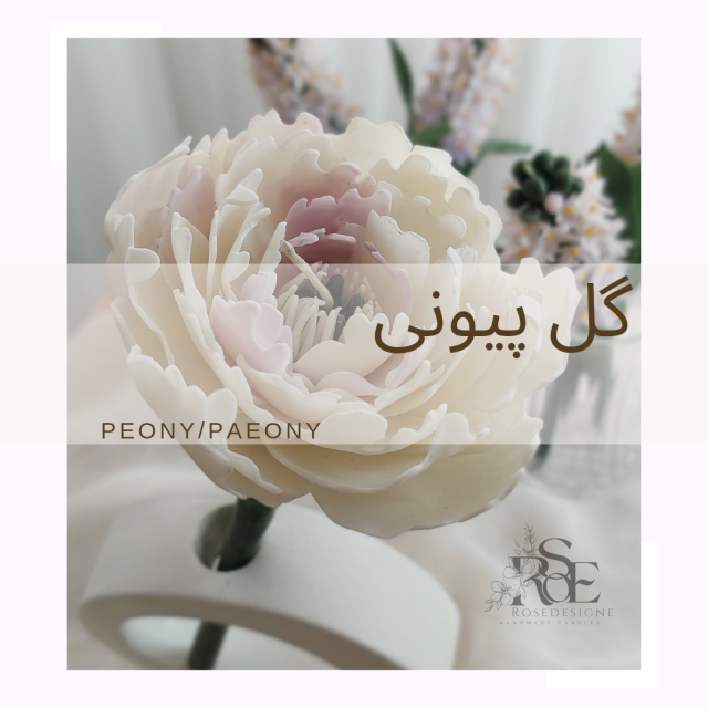 دوره جامع ساخت شمع گل