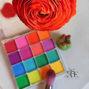 پالت 16 تایی رنگ پودری