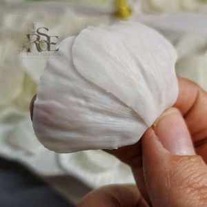 وینر سیلیکونی گل آلاله کد 1 برای ساخت شمع‌های گل آلاله با جزئیات دقیق