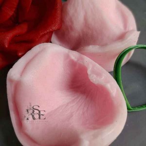 وینر گل رز کد 2 رزدیزاین