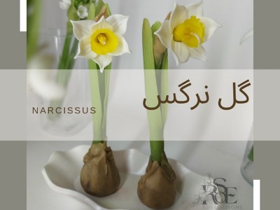 دوره تخصصی شمع گل های شاخه ای