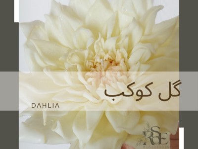 دوره تخصصی شمع گل های شاخه ای (انعطاف پذیر)