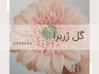 دوره پایه شمع گل های شاخه ای