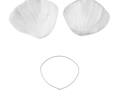 کاتر و وینز سیلیکونی گلبرگ هیدرانژیا