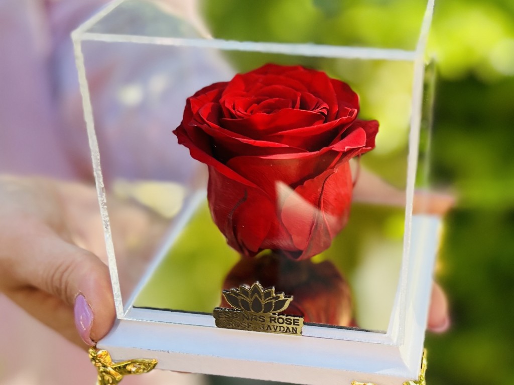 رز جاودان چیست