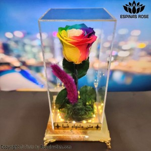 پایه سنگ ساقه دار هفت رنگ جاودان  به همراه حکاکی و ریسه کد 220