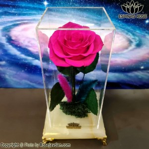 رز جاودان صورتی کینگ همراه پایه سنگ کد 2240