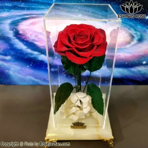 رز جاودان قرمز کینگ همراه پایه سنگ کد 2210