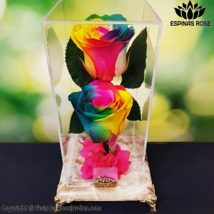 پایه سنگ ساقه دار دو گله جاودان  همراه هورتانسیا کد 2300