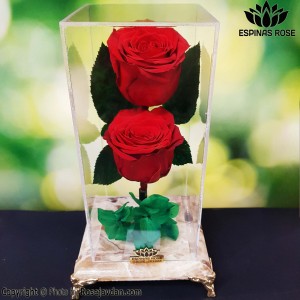 پایه سنگ ساقه دار دو گله رز جاودانه  همراه هورتانسیا کد 2311