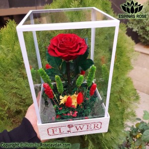 باکس لوکس گل رز جاودان ساقه دار قرمز کینگ کد 721