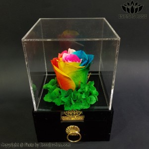 باکس گل کشویی گل رز جاودان رنگین کمانی  کد 410