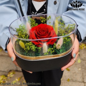 باکس لونا مشکی گل رز جاودان قرمز کینگ کد 451