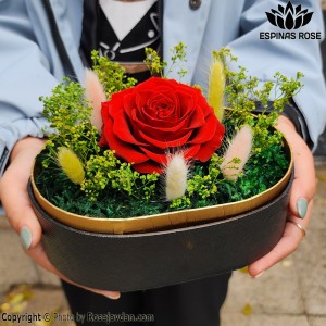 باکس لونا مشکی گل رز جاودان قرمز کینگ کد 451