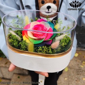 باکس لونا سفید گل رز جاودان هفت رنگ کینگ کد 460