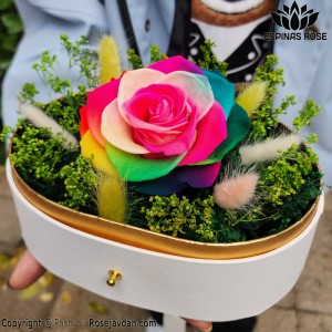 باکس لونا سفید گل رز جاودان هفت رنگ کینگ کد 460