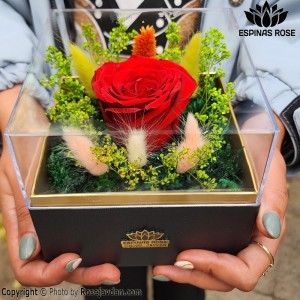 باکس مدل مانا  گل رز جاودان قرمز کد 471