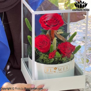 گل رز جاودان قرمز سه گله فلاور باکس شیشه ای کد 74