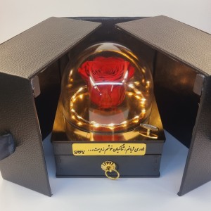 گل رز جاودان سوپرایزی قرمز موزیکال با ریسه