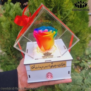 باکس سفید گل رزجاودان کشودار هفت رنگ 990 با چراغ (ریسه)