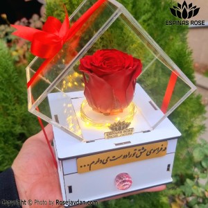 باکس سفید گل رزجاودان کشودار قرمز 991 با چراغ (ریسه)