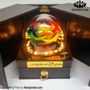 گل رز جاودان سوپرایزی هفت رنگ موزیکال با ریسه
