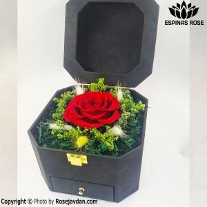 باکس گل رز جاودان هشت ضلعی کشودار طرح چرم کد 49