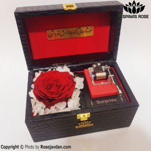باکس موزیکال رز جاودان قرمز  صندوقچه ای کد 941