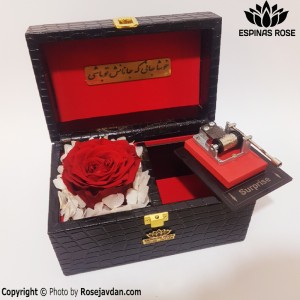 باکس موزیکال رز جاویدان قرمز صندوقچه ای کد 941