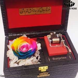 باکس موزیکال رز جاودان هفت رنگ ( رنگین کمانی )  صندوقچه ای کد 940