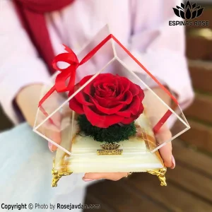 باکس سنگی گل رز جاودان قرمز کد 241