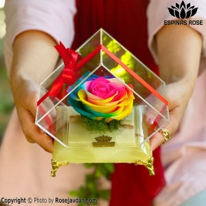 باکس سنگی گل رز جاودان هفت رنگ کد 2400