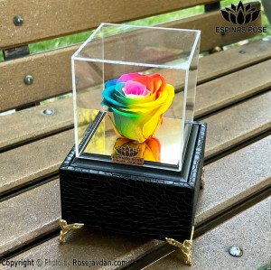 باکس موزیکال رز جاودان هفت رنگ کد 930