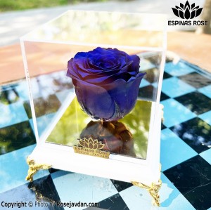 گل رز جاودان پایه سفید رز آبی کد 122