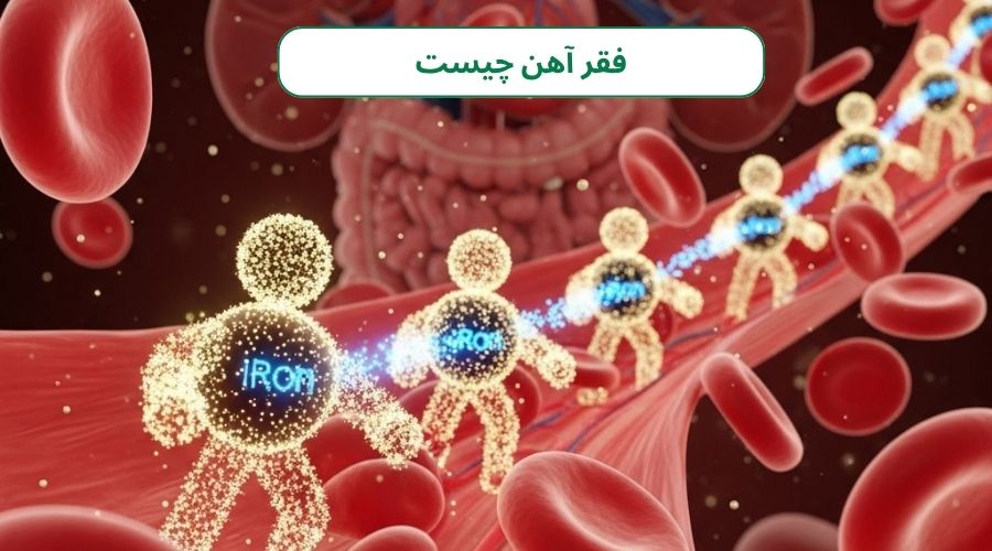آهن چیست و چرا برای ما حیاتی است؟