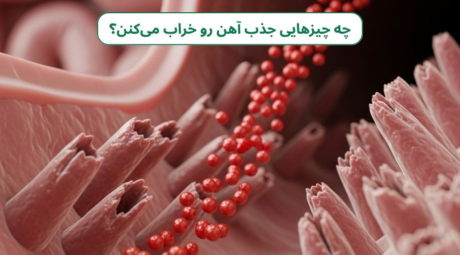 چرا آهن با اینکه خورده میشود، جذب بدن نمیشود؟ (مشکلات جذب آهن)