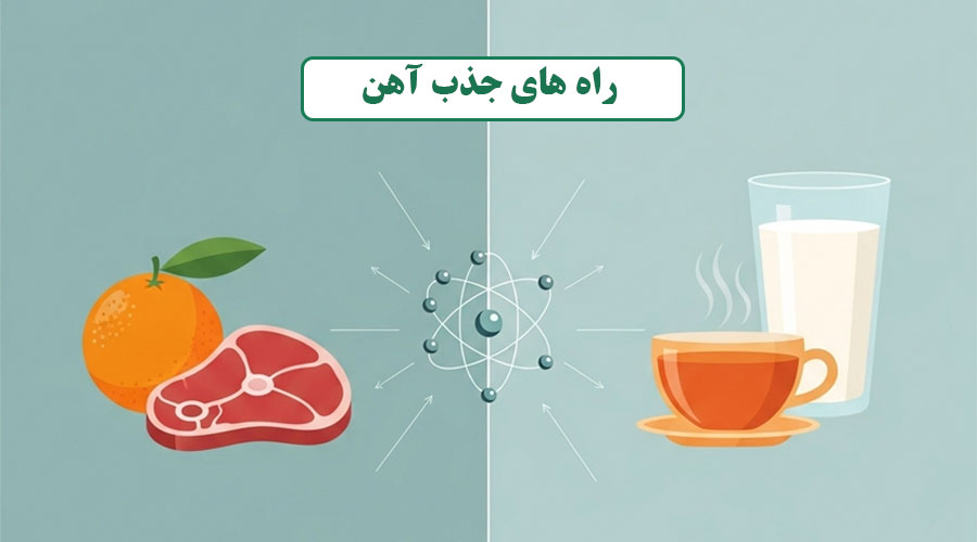 رازهای جذب آهن: چه چیزهایی به جذب آهن کمک میکنند و چه چیزهایی مانع میشوند؟