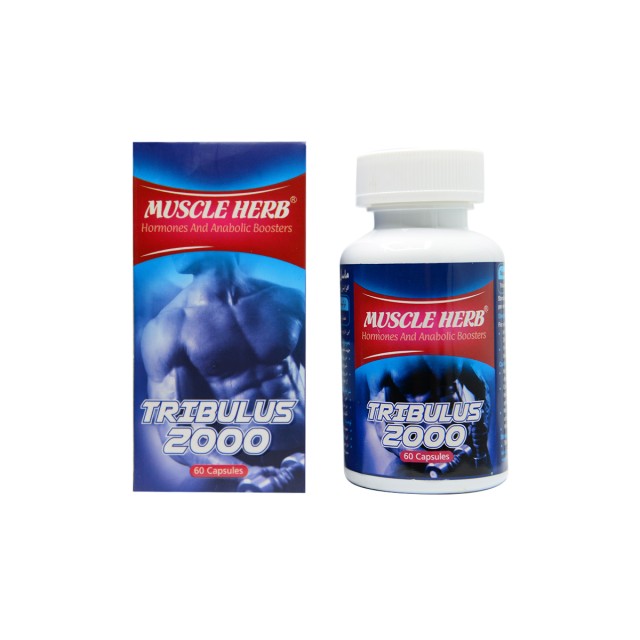 کپسول ماسل هرب بهتا دارو