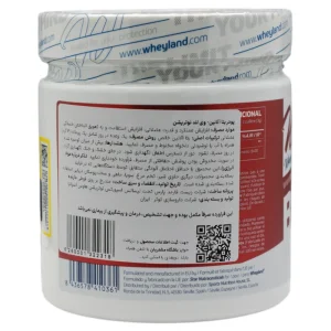 پودر بتا آلانین وی لند