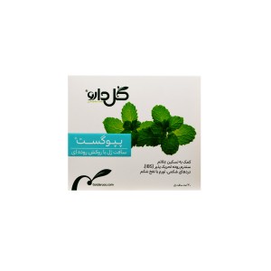 سافت ژل  پپوگست گل دارو