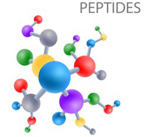 پپتیدها