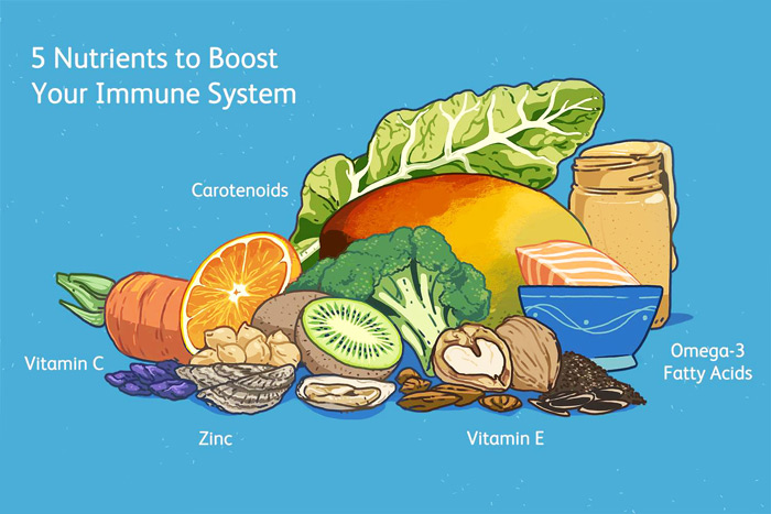 مواد غذایی برای سیستم ایمنی