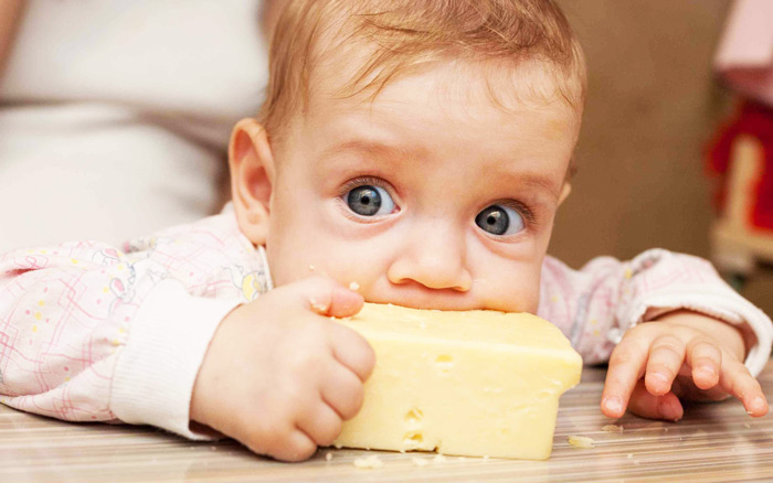 پنیر سویسی برای کودک