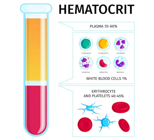 هماتوکریت